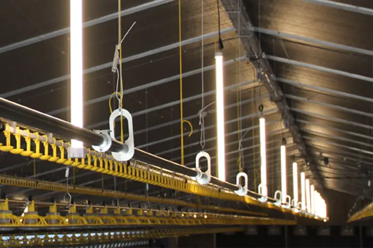 Powerlamps verlichting in een agrarische stal